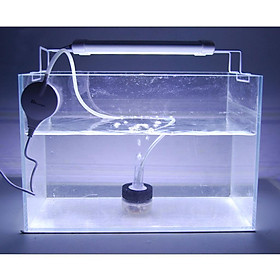 Aquarium Cylinder Sponge Water Filter Cleaner Purifier Pet   Feeding
