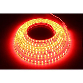 Bộ 5m Led Dây 2835 Kèm Nguồn