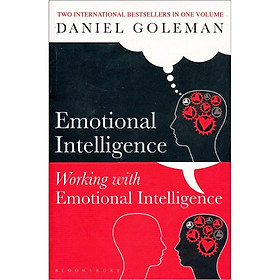 Emotional Intelligence & Working with Emotional Intelligence