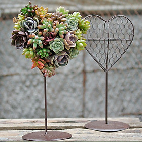 Iron Wire Heart Frame Stand Succulent Pot Metal Hanging Planter Plant Holder