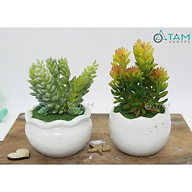 Mua Chậu hoa giả để bàn Sen đá mini số 63