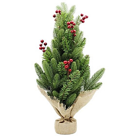 Mua Cây Thông Mini Gắn Trái Đỏ 60cm - Chaang Chiia LP-TSE-60CM