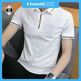 Áo Thun Polo Nam Tay Ngắn Unisex thương hiệu Chandi thiết kế cố bẻ thêu không bong tróc khi giặt PLN15