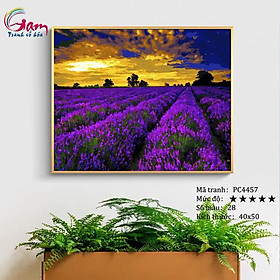 Mua Tranh sơn dầu số hoá tự tô màu Gam PC4457 40x50cm căng sẵn khung