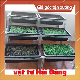 Kệ sắt bậc thang Trồng rau sạch 3 bậc ,Mỗi tầng 2 khay nhựa ( kích thước khay; 65,67.68cm x 42,43cm x 15cm)