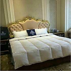 Mua Tấm lót mềm nệm lông vũ Hilton 2 x 2 3m - Skylife .... Hàng hot nhất VN !!!!