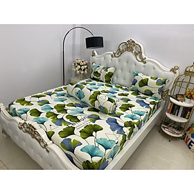  Bộ Drap Thun Lạnh Hàn Quốc { 4 món } có 2 size