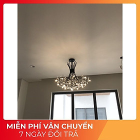 Mua Đèn thả bồ công anh giản dị   hiện đại đem lại phong cách mới cho ngôi nhà của mình