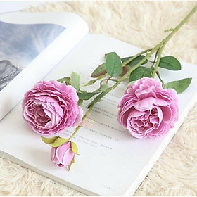 Mua Cành hồng mẫu đơn giả trang trí nhà cửa decor hoa cô dâu hoa cưới