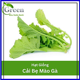 Mua Hạt Giống Cải Bẹ Mào Gà 20 Gam