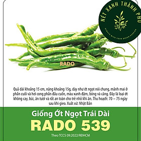 Mua Hạt giống Ớt Ngọt Trái Dài  Ớt ngọt Hàn Quốc 0.5 gram