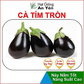 Hạt giống Cà Tím Tròn Quả To thu hoạch sớm, dễ trồng, nảy mầm cao, sinh trưởng khoẻ