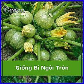 Hạt Giống Bí Ngòi Trái Tròn (1G)