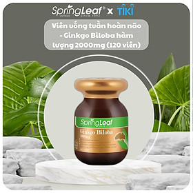 Viên uống bổ não tăng cường tuần hoàn não SpringLeaf Ginkgo Biloba 2000mg 120 viên