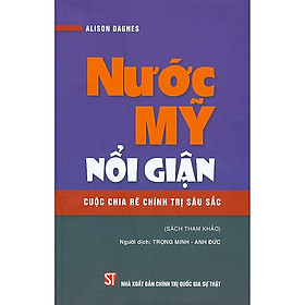 Sách Nước Mỹ Nổi Giận Cuộc Chia Rẽ Chính Trị Sâu Sắc (Sách Tham Khảo) - Alison Dagnes