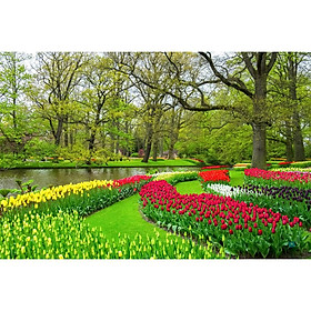 Tranh dán tường 3D phong cảnh hoa - tranh rừng hoa - tranh phong cảnh rừng hoa