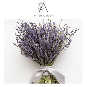 Mua LAVENDERHoa Oải Hương Khô