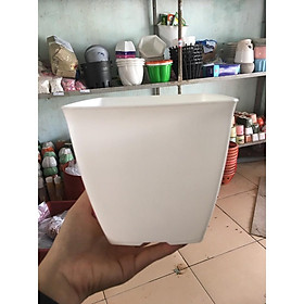 Mua 5 chậu nhựa vuông kt 16x16cm