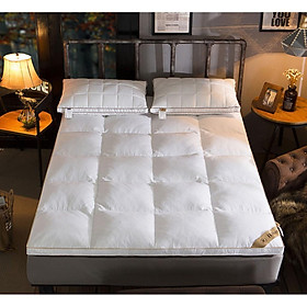 Mua Tấm Làm Mềm Dòng Cao Cấp Vải Nhung Chống Thoát Lông 20 Năm PA9131