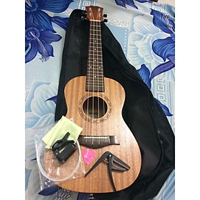 Mua UKULELE CÕNCERT