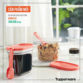 Mua Bộ hộp BQTP Umami (2 hộp)