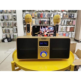 Mua Loa Bluetooth Mini Karaoke SDRD SD-309 - Bản Cao Cấp Chất Lượng  Kèm 2 Micro Sạc Không Dây