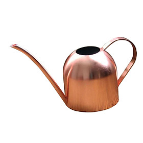 Indoor Watering Can for House Bonsai Plants, Small Watering Can with Long Spout Succulents Garden Flower 500ML Watering Pot