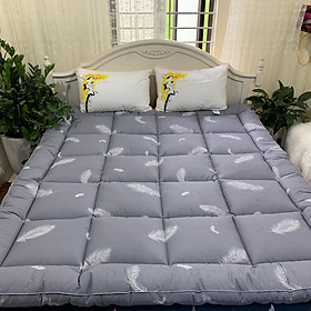 Mua Tấm làm mềm đệm topper home collection loại đẹp - Lông Vũ - Tặng kèm 1 móc khóa Houston