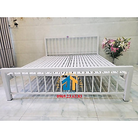 Mua Giường sắt mỹ nghệ ĐẠI THÀNH 1m6x2m màu trắng