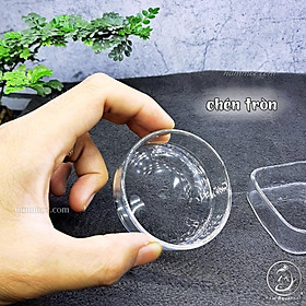Chén Tép Thuỷ Tinh | Chén Chứa Thức Ăn Cho Cá Tép Cảnh
