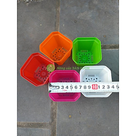 10 Chậu Nhựa Mini, KT: 10x8.5cm, Hình Vuông - Nhiều Màu