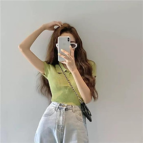 MS551 Áo polo nữ len tăm 5 cúc nhiều màu