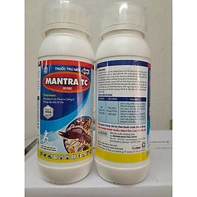 Thuốc diệt mối lưu dẫn MANTRA TC chai 500ml