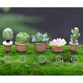 Mô hình cây xương rồng, sen đá loại chậu trơn kiểu dáng đơn giản, giá rẻ
