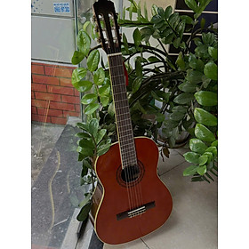 Đàn Guitar Classic Stagg C548 có ty chỉnh cần