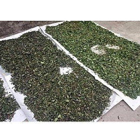 Mua Cao lá vằng quảng trị 100gram