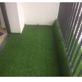 Combo 5 m2 thảm cỏ nhân tạo sợi kim 2cm