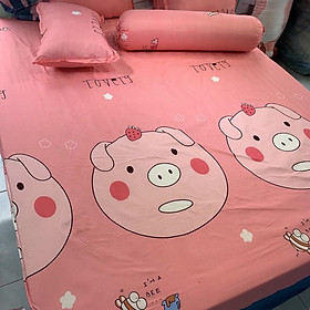 Mua Bộ ga kèm đôi vỏ gối poly cotton siêu ngộ giá rẻ kích thước m6 hoặc m8 (được chọn mẫu)