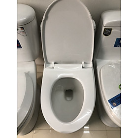 Mua Nắp bồn cầu nguyên khối rơi êm cao cấp 02