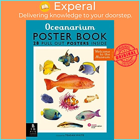 Sách - Oceanarium Poster Book by Teagan White (UK edition, paperback)
