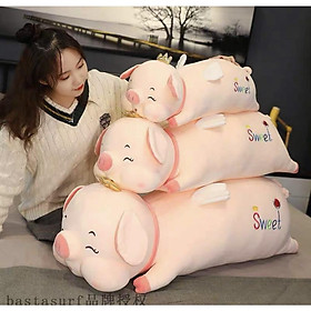Gấu bông heo vương miện cánh tiên đủ size giá rẻ