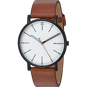 Skagen Men's Signatur - SKW6374