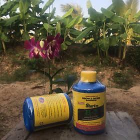 Mua Phân bón lá B1 Growmore chai 235ml hàng Mỹ chuyên dùng hoa Phong Lan
