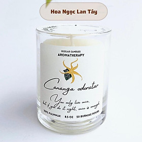 {MUA 2 TẶNG 1} - Nến Thơm Sáp Cọ Cao Cấp Ecolax BST mới nhất 2022