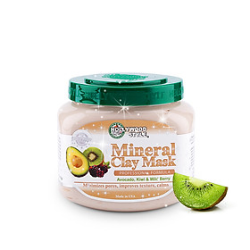 Mặt nạ đất sét khoáng Mineral Clay Mask (567g)
