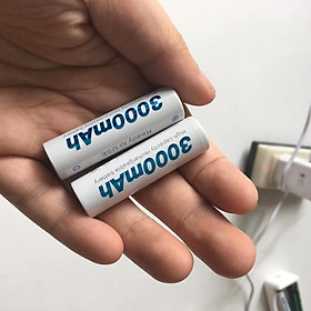 Bộ sạc pin 2 cổng Beston C8001 Sạc được 2 loại pin AA/AAA 1.2V dùng cho micro không dây, đồ chơi, đồng hồ, điều khiển