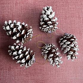 Sỉ 1kg 70 quả thông phủ tuyết có sẵn dây treo decor trang trí Noel làm vòng nguyệt quế Giáng sinh