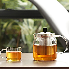 Mua Combo bộ bình lọc trà thủy tinh lõi inox S042209 500mL