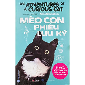 Mèo Con Phiêu Lưu Ký - The Adventures Of A Curious Cat