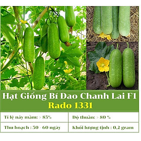 Hạt Giống Bí Đao Chanh Lai F1 Rado 1331 gói 0.2g Dễ trồng, dễ chăm sóc, năng suất cao Trái màu xanh rất đẹp, dài 25-30cm